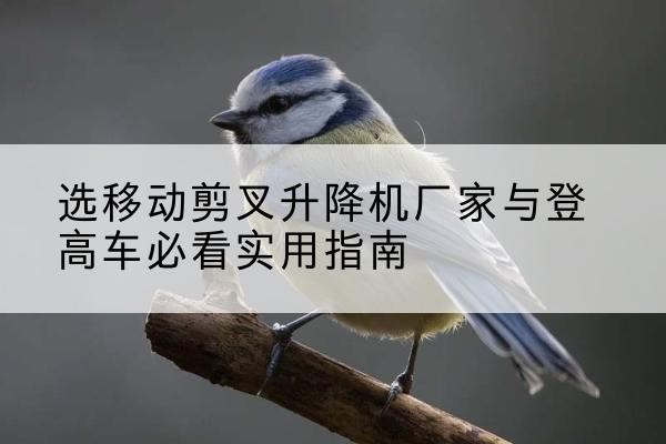 晋源电动升降机厂家-选移动剪叉升降机厂家与登高车必看实用指南