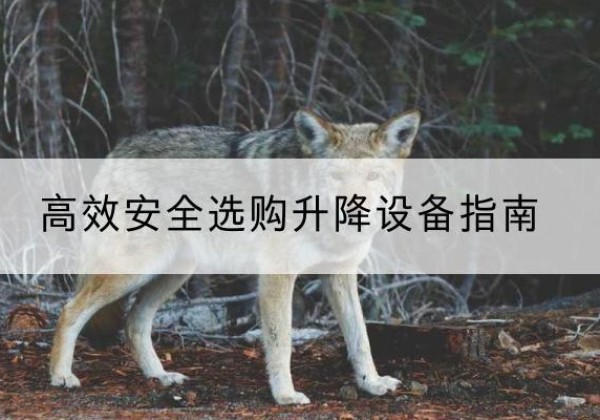 晋源升降货梯厂家推荐-*安全选购升降设备指南
