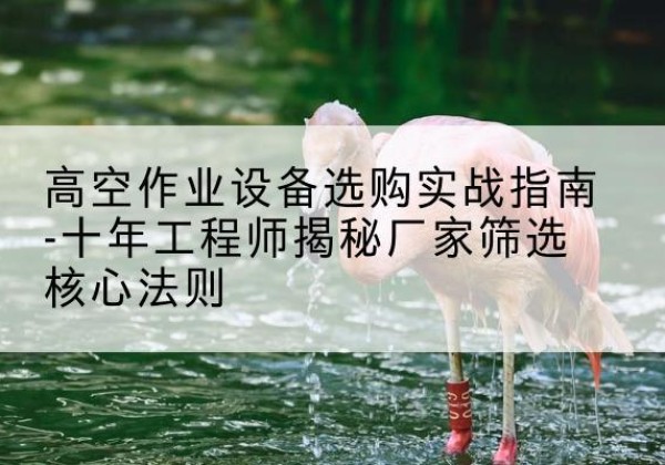 晋源剪叉式升降机厂家-高空作业设备选购实战指南-十年工程师揭秘厂家筛选核心法则